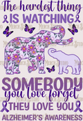 Alzheimer Awareness 42