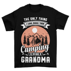 Camping 21