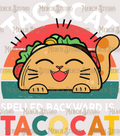 Cinco De Mayo 13