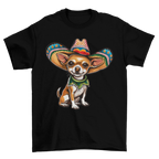 Cinco De Mayo 17