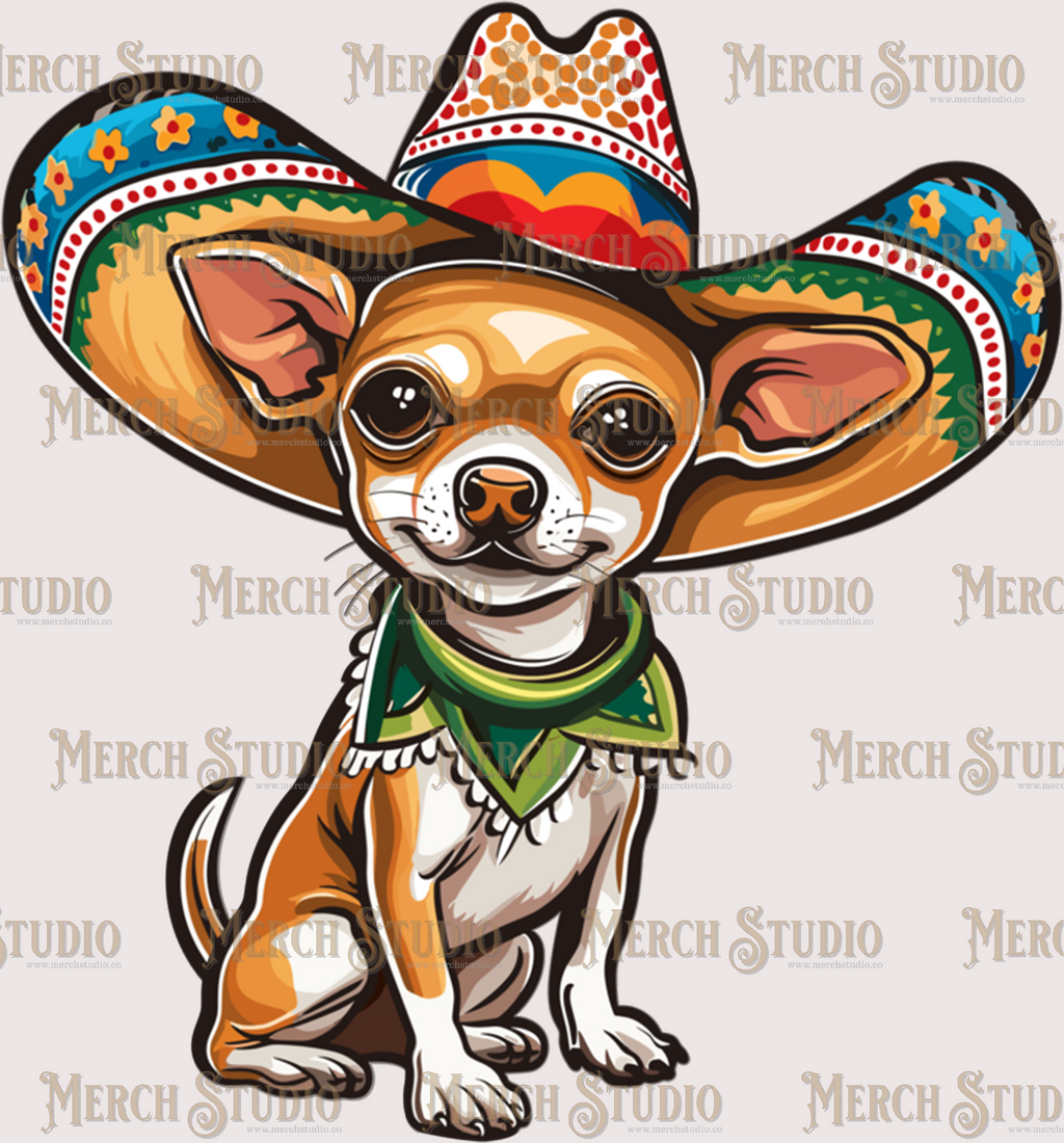 Cinco De Mayo 17