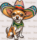 Cinco De Mayo 17