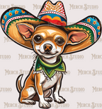 Cinco De Mayo 17