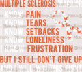 Multiple Sclerosis Awareness 37
