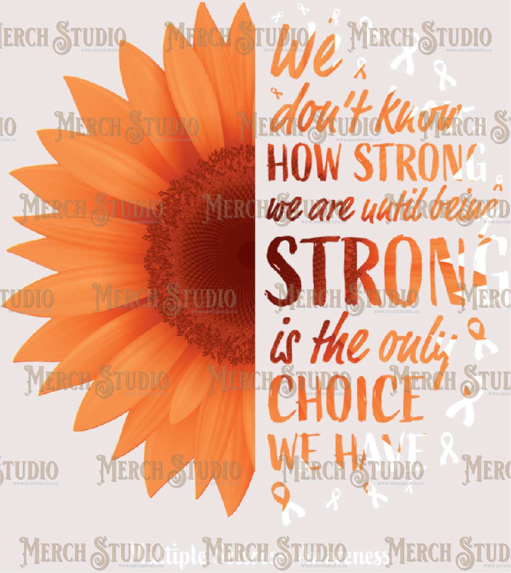 Multiple Sclerosis Awareness 78