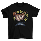 Sloth 6