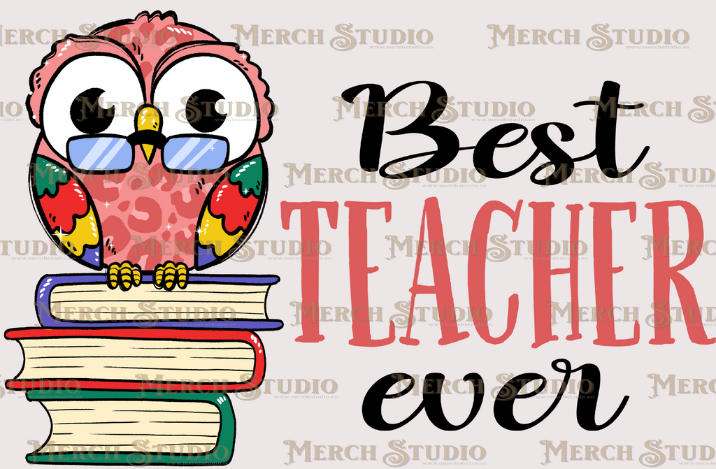 Teacher 21