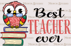 Teacher 21
