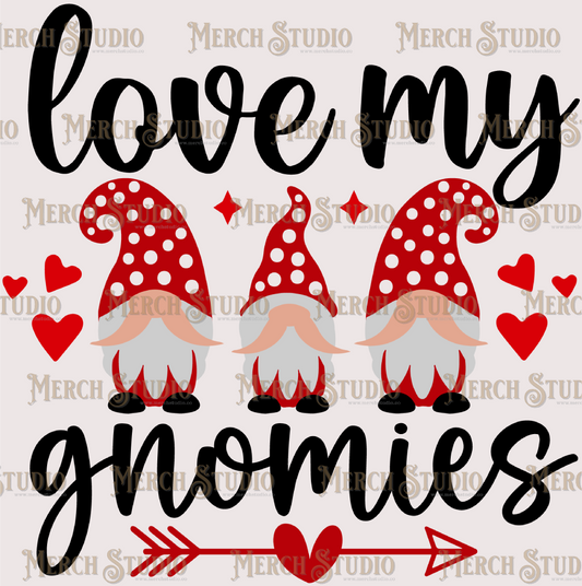 Valentines Gnome 16