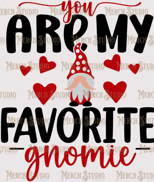 Valentines Gnome 19