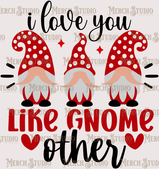 Valentines Gnome 8