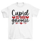 Valentines Gnome 13