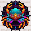 Zodiac 41